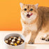 CatHoliday อาหารฟรีซดราย Freeze Dried จาก nerve cat  อาหารแมว ขนมแมว