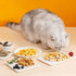 CatHoliday อาหารฟรีซดราย Freeze Dried จาก nerve cat  อาหารแมว ขนมแมว