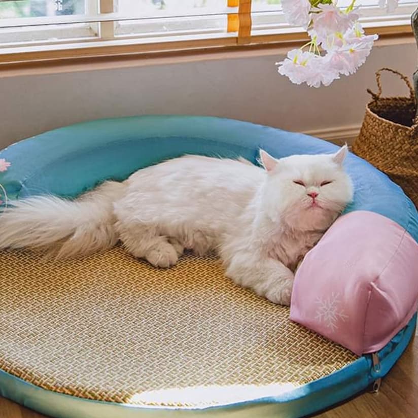 CatHoliday ที่นอนเสื่อกลม ที่นอนแมว ที่นอนสุนัข ที่นอนสัตว์เลี้ยง