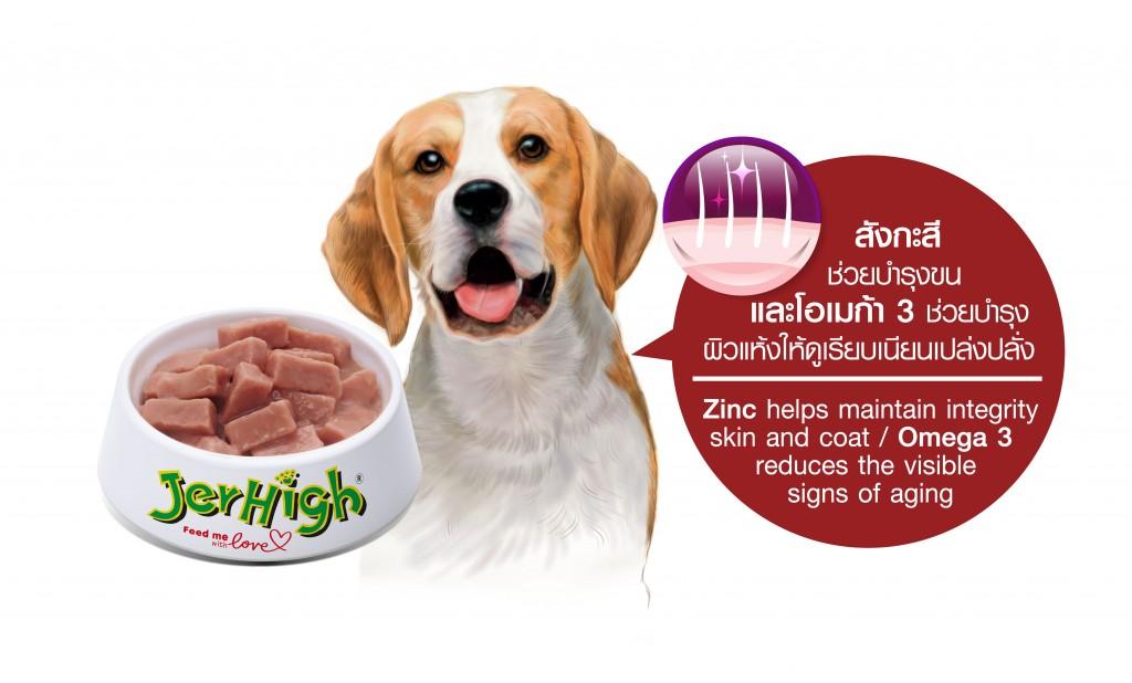 CatHoliday เจอร์ไฮ อาหารสุนัขแบบเปียกในน้ำเกรวี่ JerHigh dog pouch อาหารสุนัข อาหารสุนัขแบบซอง