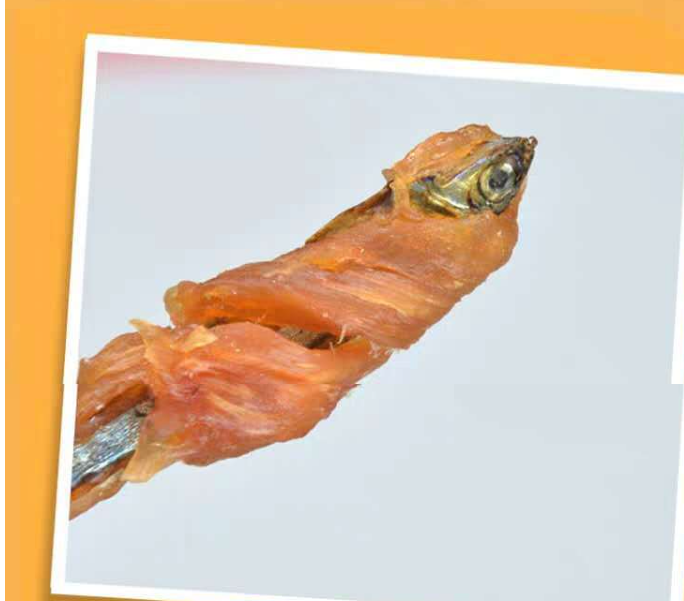 CatHoliday ขนมแมวปลาพันด้วยเนื้อสัตว์ Petio ขนมแมว ขนมสัตว์เลี้ยง