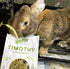CatHoliday บันนี่ หญ้าทิโมธี Bunny Nature หญ้ากระต่าย Timothy Hay