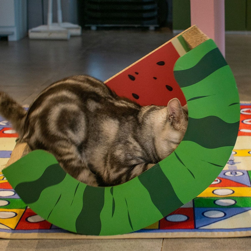 CatHoliday ลับเล็บผลไม้ ของเล่นแมว ลับเล็บแมว ที่ฝนเล็บแมว ที่นอนแมว