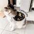 CatHoliday Halloween Set เสื้อแมว แต่งตัวแมว แต่งตัวสุนัข เสื้อผ้าสัตว์เลี้ยง ชุดเทศกาล