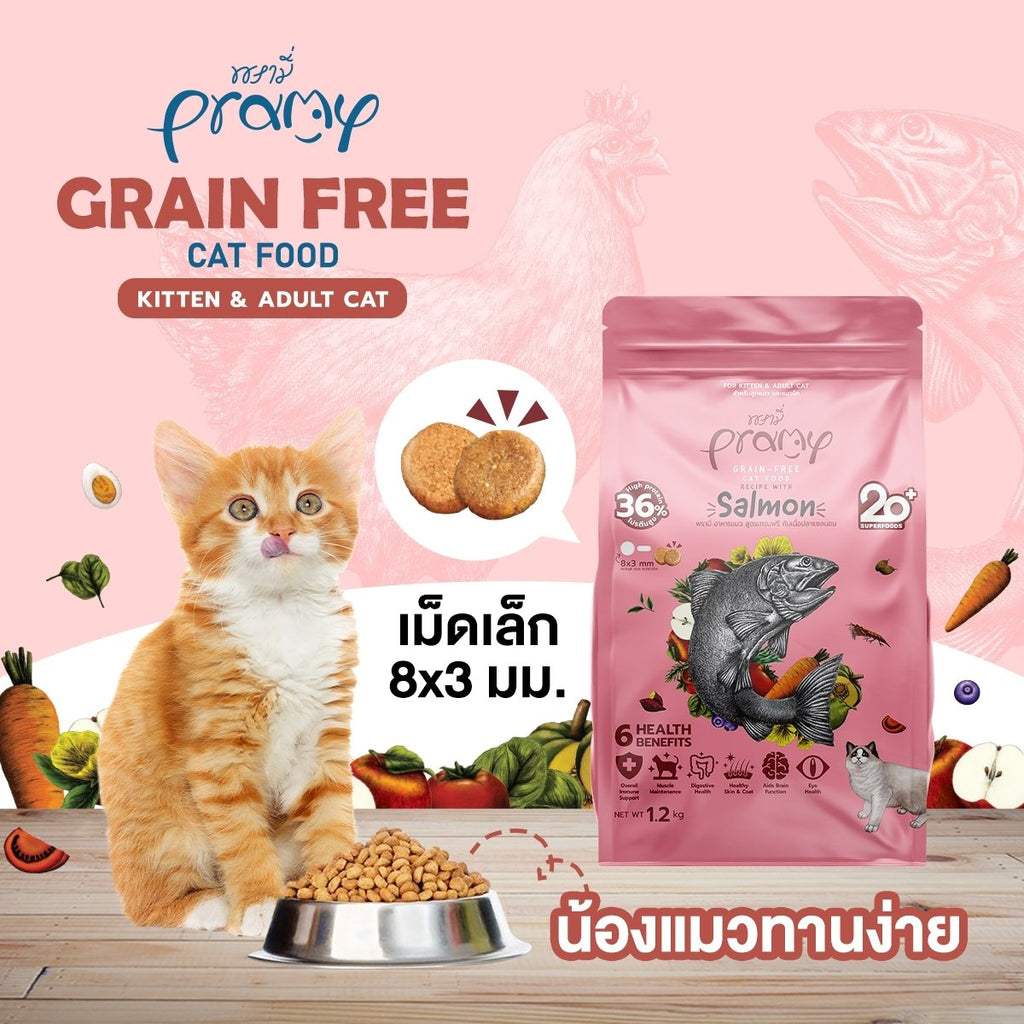 CatHoliday พรามี่ อาหารแมว เกรนฟรี Pramy Grain free cat food อาหารเม็ด อาหารสัตว์เลี้ยง