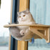 CatHoliday โดมติดกระจกแบบไม้ ที่นอนแมว ที่นอนติดกระจก