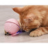 CatHoliday บอลเลเซอร์มีขนนก ของเล่นแมว ของเล่นแมวอัตโนมัติ