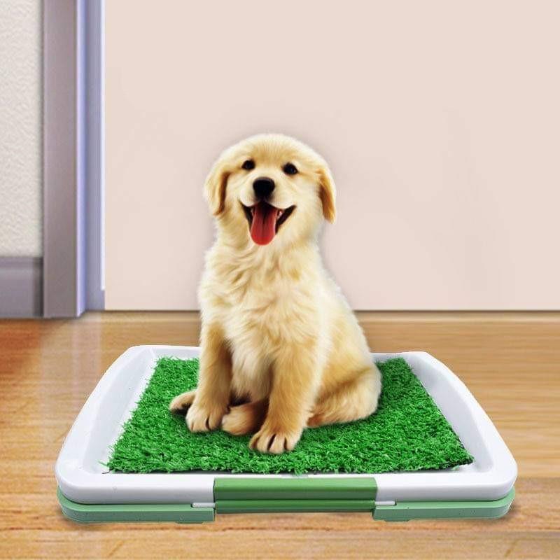 ห้องน้ำหมาถาดหญ้าเทียม ถาดฉี่สุนัข ห้องน้ำสุนัข แผ่นฉี่สุนัข