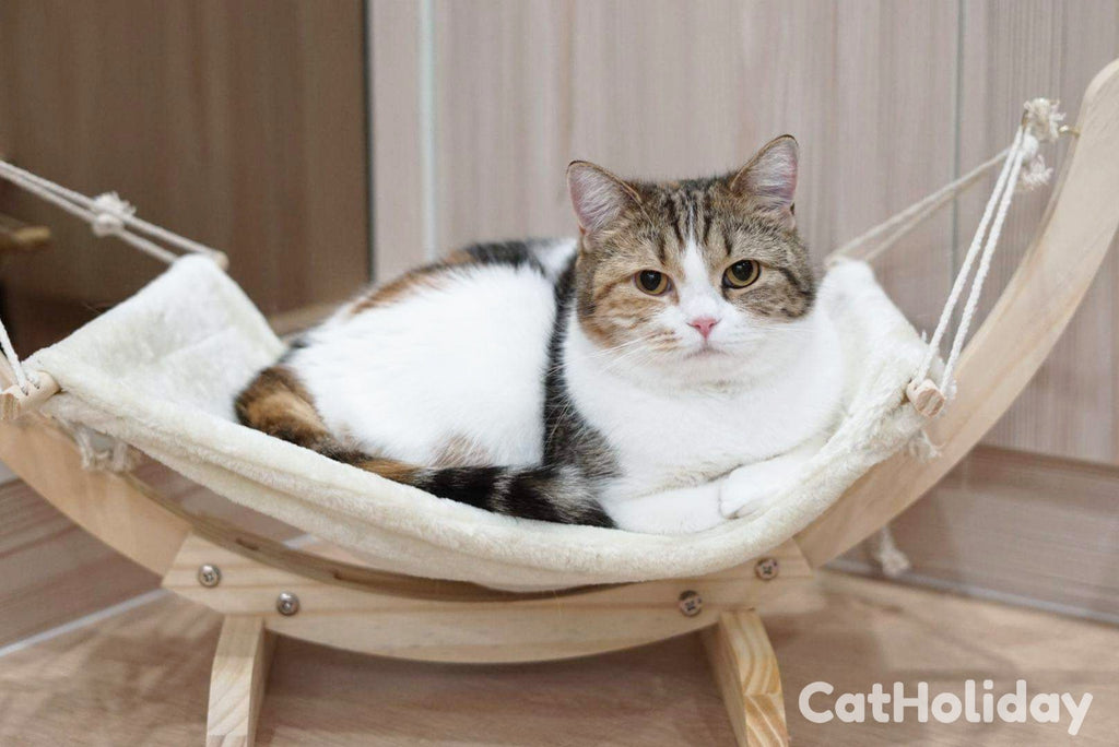 CatHoliday เปลแมวโครงไม้ เปลแมว ที่นอนแมว