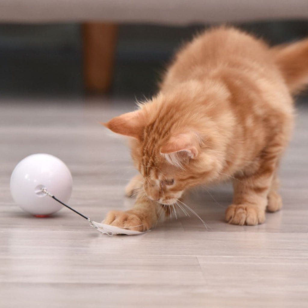 CatHoliday บอลเลเซอร์มีขนนก ของเล่นแมว ของเล่นแมวอัตโนมัติ
