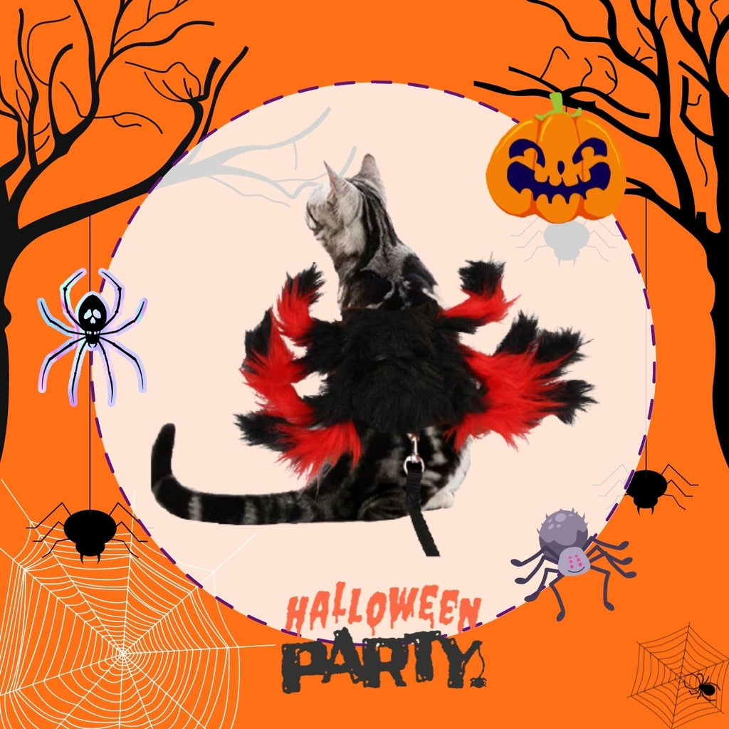 CatHoliday Halloween Set 3 เสื้อแมว แต่งตัวแมว แต่งตัวสุนัข เสื้อผ้าสัตว์เลี้ยง ชุดเทศกาล