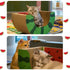 CatHoliday ลับเล็บผลไม้ ของเล่นแมว ลับเล็บแมว ที่ฝนเล็บแมว ที่นอนแมว