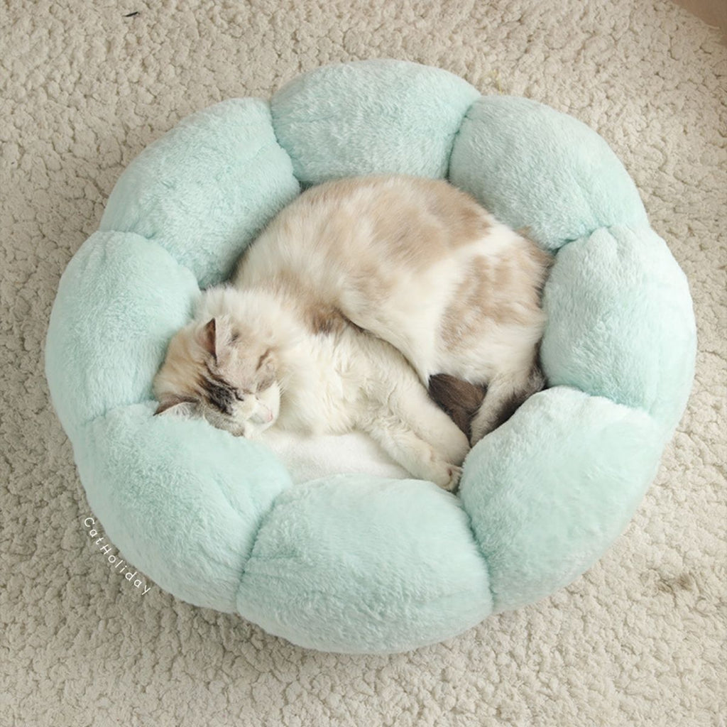 ที่นอนดอกไม้ ที่นอนแมว ที่นอนสัตว์เลี้ยง
