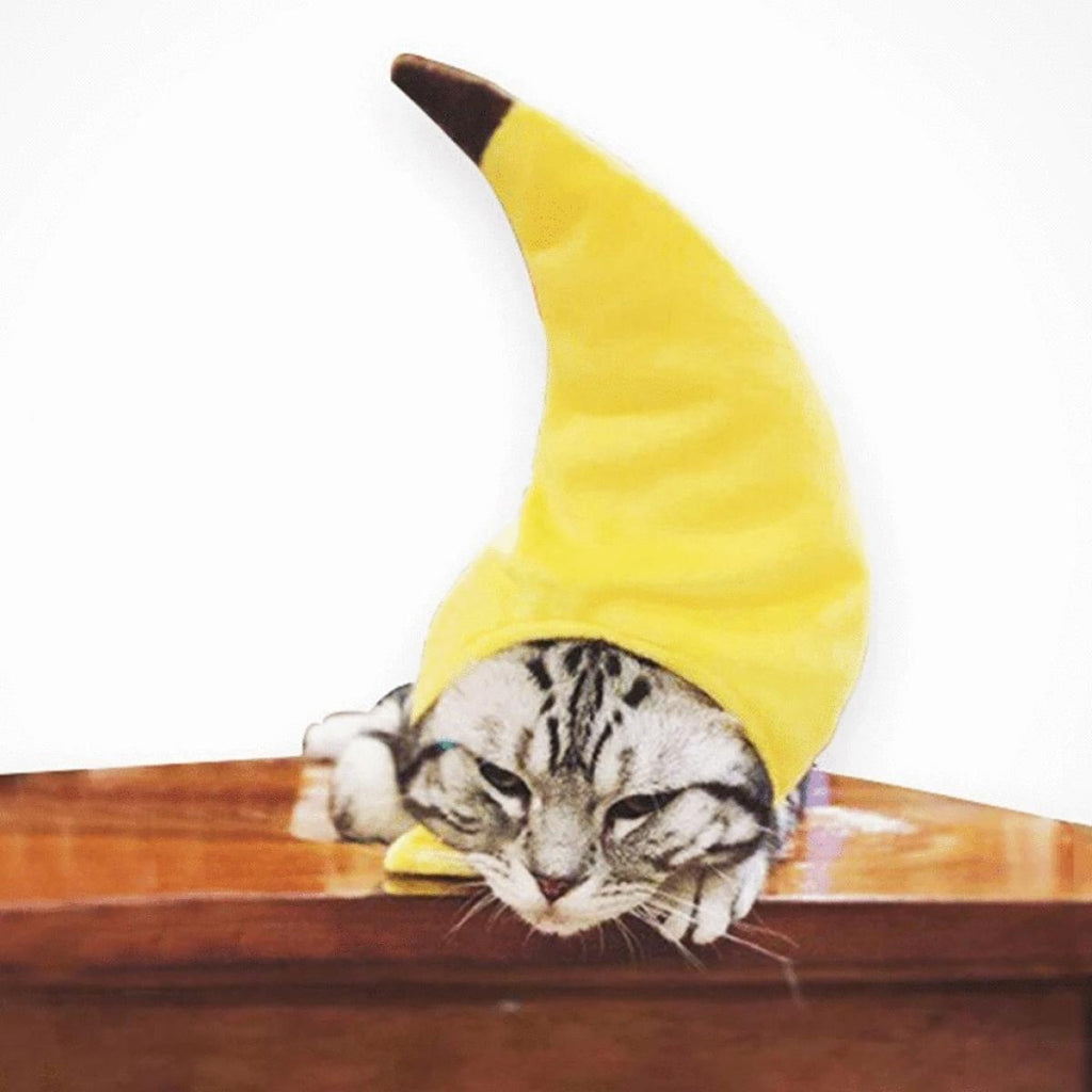 หมวกกล้วย เครื่องแต่งกายสัตว์เลี้ยง หมวกแมว