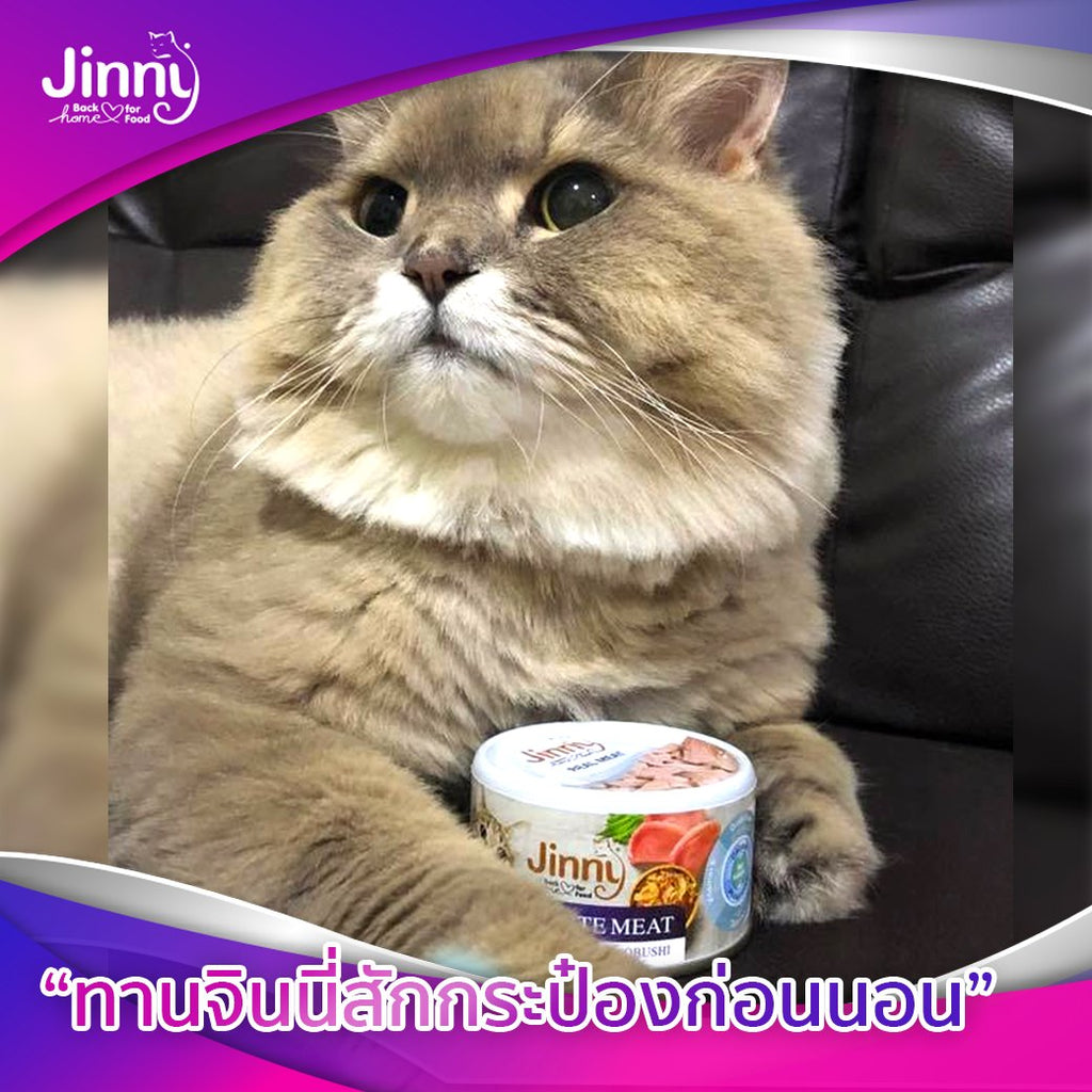 CatHoliday อาหารแมวกระป๋อง จินนี่ Jinny อาหารแมว