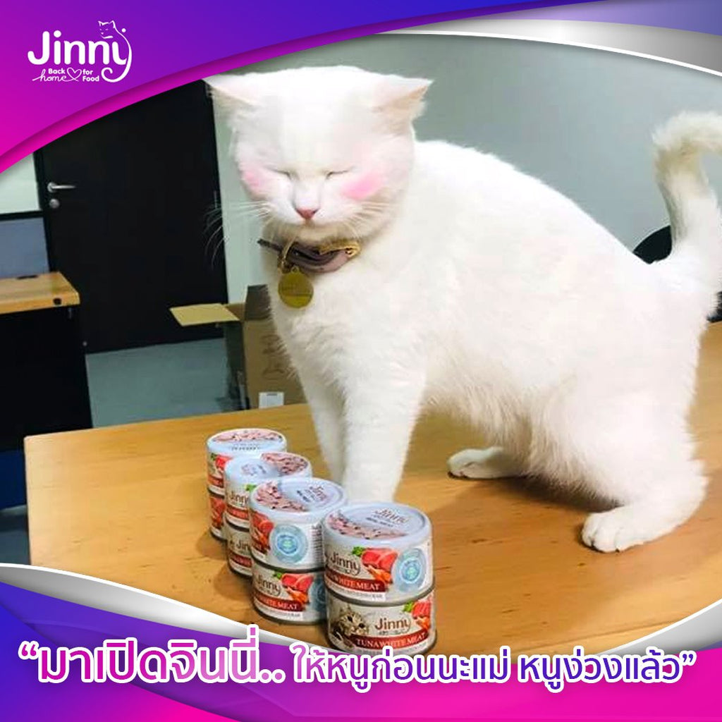 CatHoliday อาหารแมวกระป๋อง จินนี่ Jinny อาหารแมว