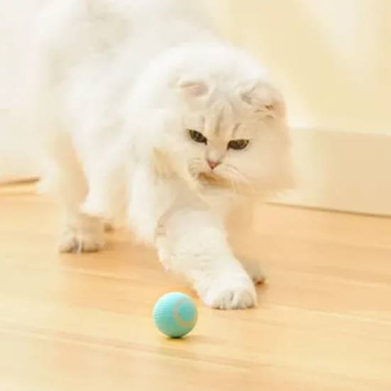 CatHoliday บอลอัตโนมัติ V2 ของเล่นแมว ของเล่นสัตว์เลี้ยง