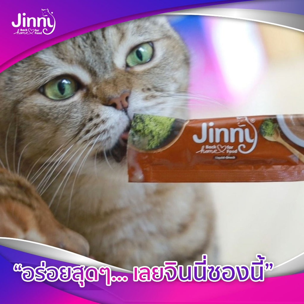 CatHoliday ขนมแมวเลีย Jinny จินนี่ ขนมแมว