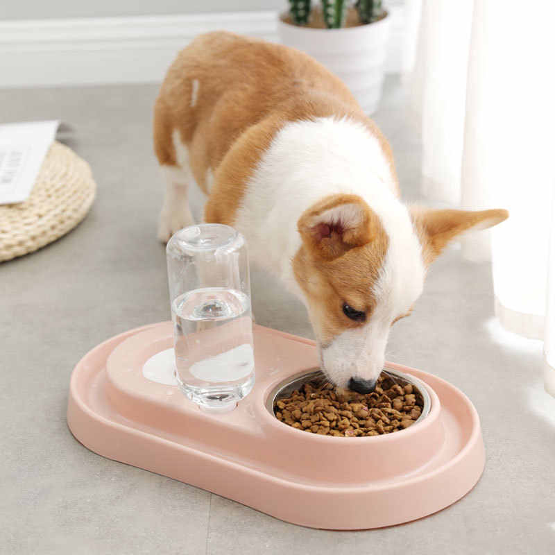 ชามน้ำอาหารกันมด ชามอาหารสุนัข ชามอาหารแมว