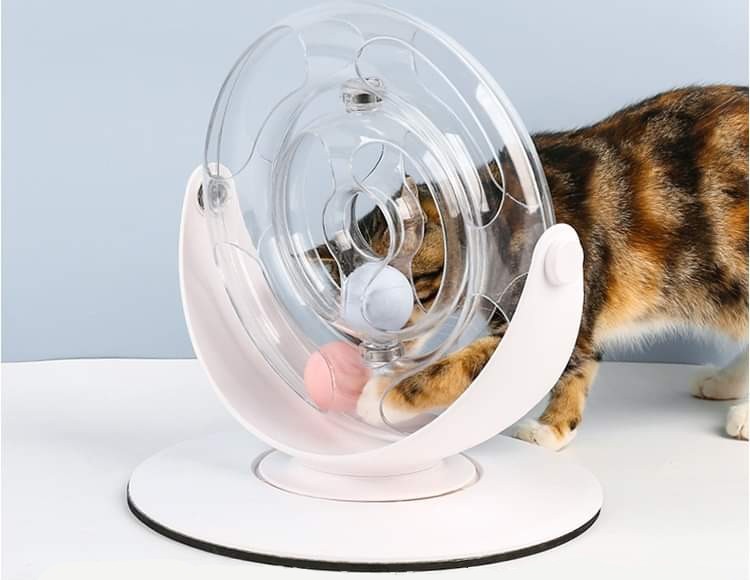 รางบอล 360 องศา ของเล่นแมว