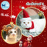 คริสมาสต์ Set 3 แต่งตัวแมว เสื้อคลุมแมว เสื้อคลุมสัตว์เลี้ยง เสื้อสัตว์เลี้ยง