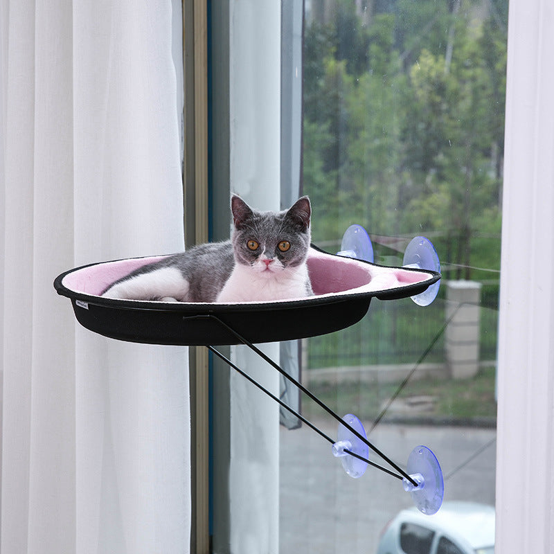 ชามแมวติดกระจก ที่นอนแมว ที่นอนแมวติดกระจก