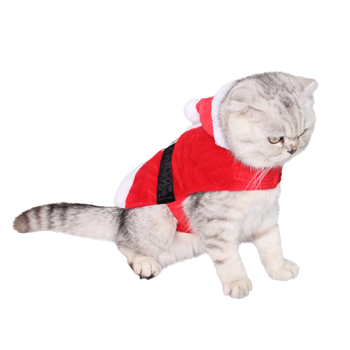 CatHoliday ชุดซานตาคลอส เสื้อแมว แต่งตัวแมว แต่งตัวสุนัข เสื้อผ้าสัตว์เลี้ยง ชุดเทศกาล