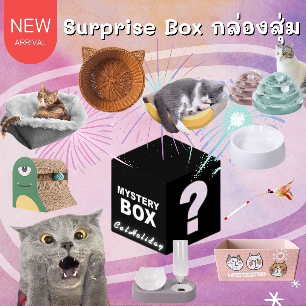 CatHoliday กล่องสุ่ม V1 Surprise Box กล่องสุ่มของเล่นแมว ที่นอนแมว ให้น้ำให้อาหารสัตว์เลี้ยง
