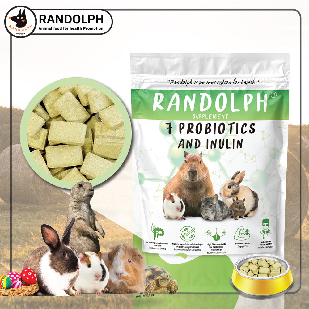 CatHoliday วิตามินเสริม Randolph Supplement อาหารเสริม สำหรับกระต่าย หนู และสัตว์ฟันแทะ