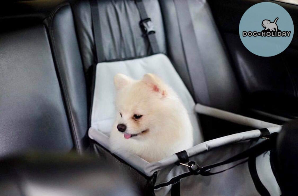 ที่นั่งติดรถยนต์ ที่นั่งสุนัขติดรถ ที่นั่งแมวติดรถ เบาะสัตว์เลี้ยง ที่นั่งสัตว์เลี้ย