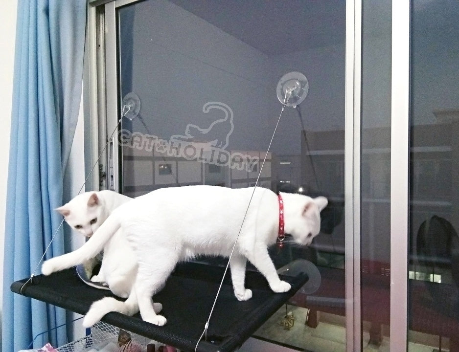Sunny seat สีดำขนาดใหญ่ ที่นอนแมว ที่นอนสุนัข ทีนอนติดกระจก เตียงแมวและสุนัข เปลแมวและสุนัข ของเล่น