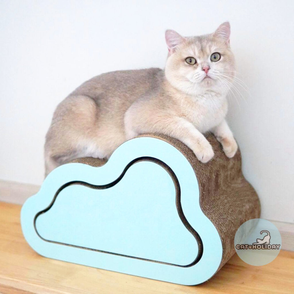 ที่ลับเล็บก้อนเมฆ ที่ฝนเล็บแมว ของเล่นแมว