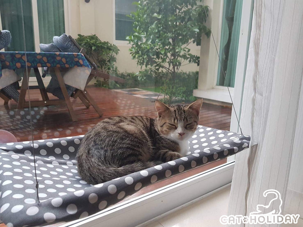 Sunny Seat รุ่นผ้า Canvas ที่นอนแมวติดกระจก