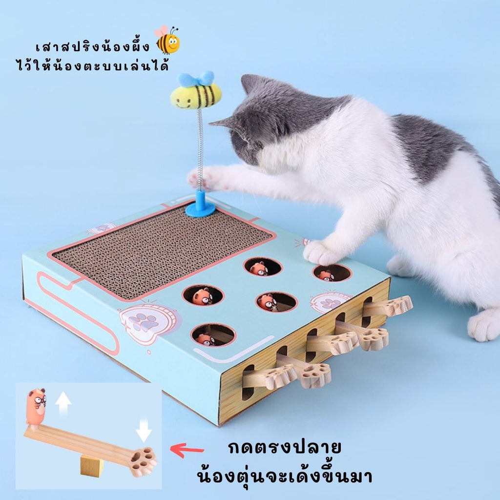 CatHoliday กล่องแมวงง 2 in 1 ลับเล็บแมว ที่ฝนเล็บแมว ของเล่นแมว
