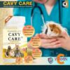 Cavy Care Standard Recovery for Guinea Pig