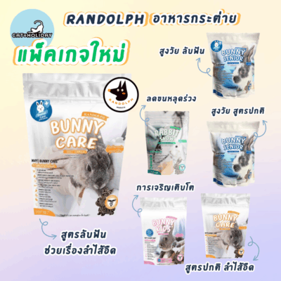 CatHoliday Randolph อาหารเม็ดกระต่าย ที่ใช้ในการฟื้นฟู บำบัดโรคลำไส้อืด