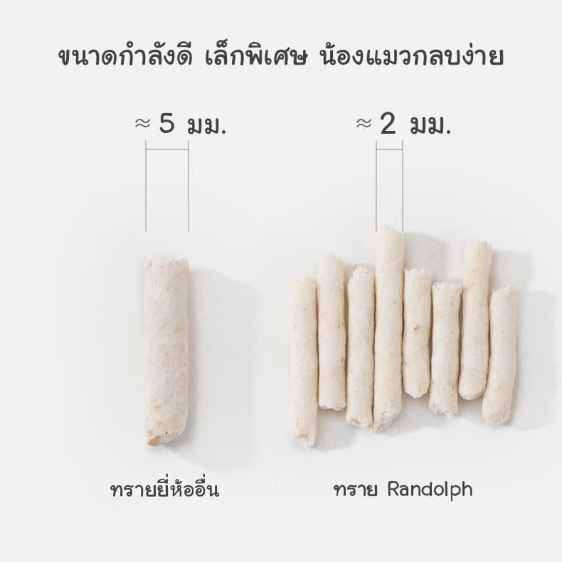 CatHoliday ทรายเต้าหู้พรีเมี่ยม Randolph ทรายแมว - Image 5