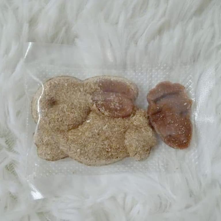 CatHoliday คุกกี้กระต่าย V2 ขนมกระต่าย ขนมสัตว์ฟันแทะ - Image 4