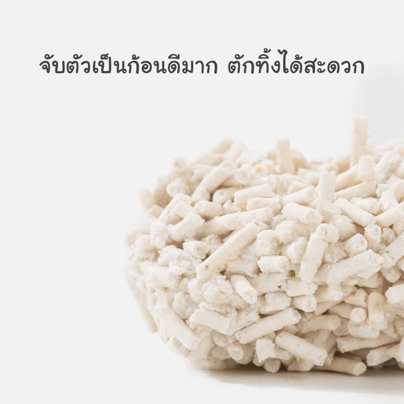 CatHoliday ทรายเต้าหู้พรีเมี่ยม Randolph ทรายแมว - Image 4