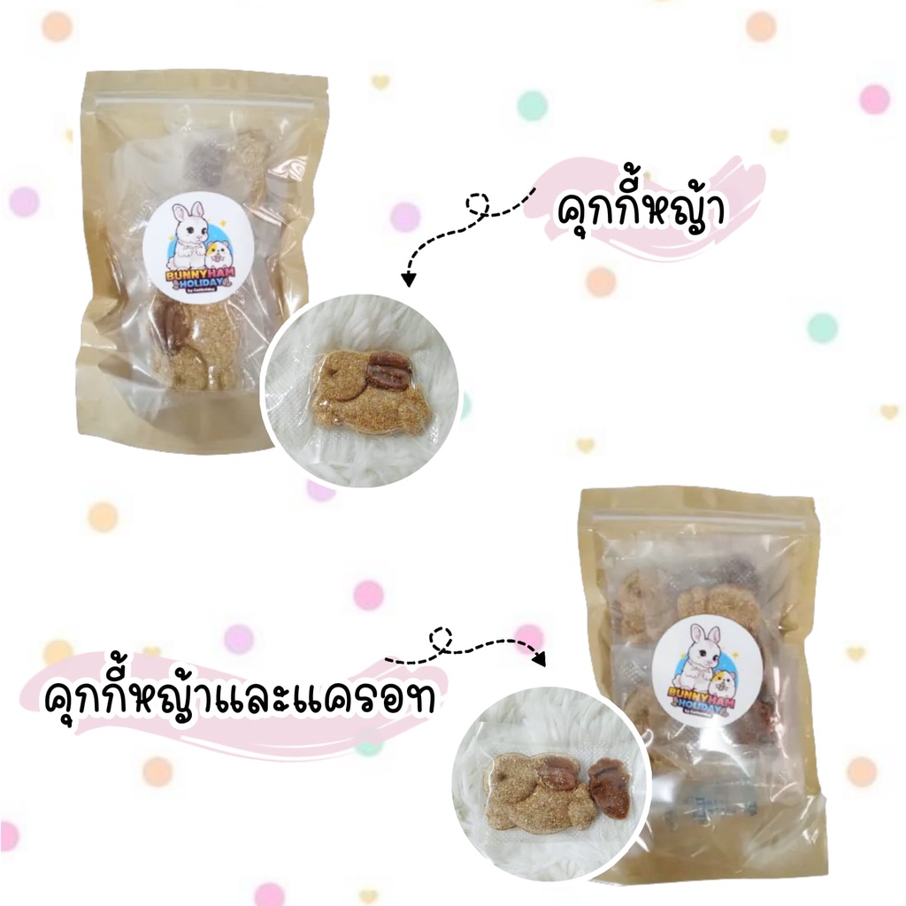 CatHoliday คุกกี้กระต่าย V2 ขนมกระต่าย ขนมสัตว์ฟันแทะ - Image 3