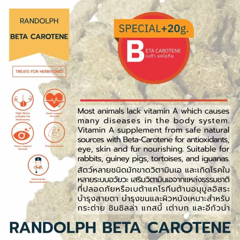 CatHoliday วิตามินเสริม Randolph Supplement อาหารเสริม สำหรับกระต่าย หนู และสัตว์ฟันแทะ - Image 3