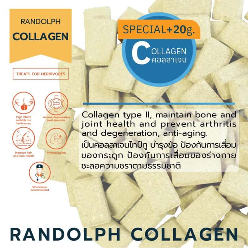 CatHoliday วิตามินเสริม Randolph Supplement อาหารเสริม สำหรับกระต่าย หนู และสัตว์ฟันแทะ - Image 5