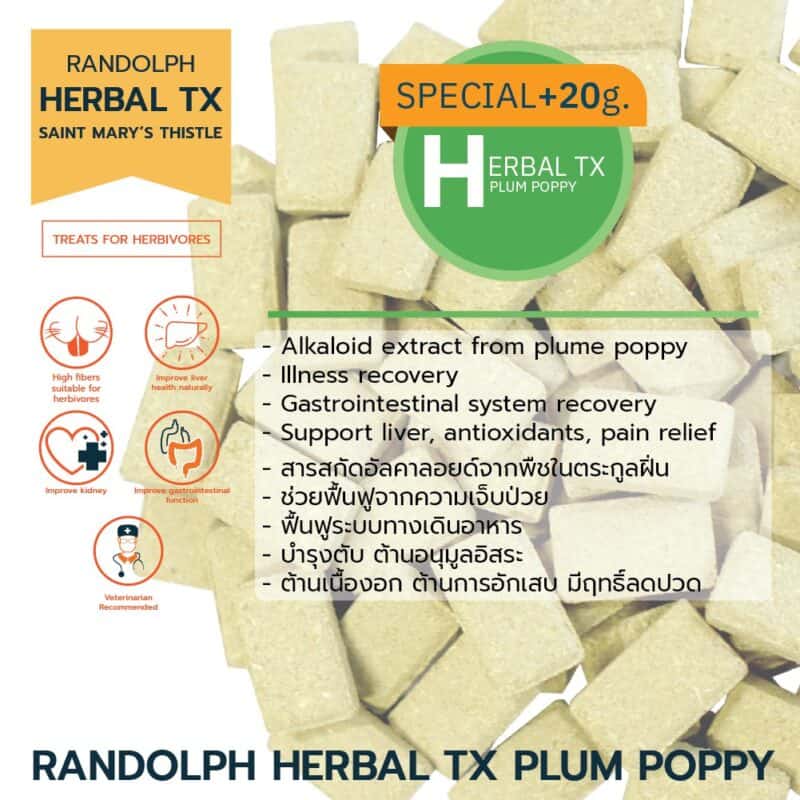 CatHoliday วิตามินเสริม Randolph Supplement อาหารเสริม สำหรับกระต่าย หนู และสัตว์ฟันแทะ - Image 6