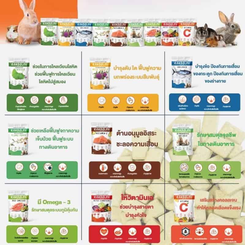CatHoliday วิตามินเสริม Randolph Supplement อาหารเสริม สำหรับกระต่าย หนู และสัตว์ฟันแทะ - Image 2