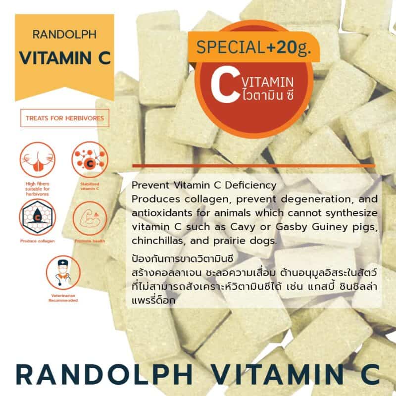 CatHoliday วิตามินเสริม Randolph Supplement อาหารเสริม สำหรับกระต่าย หนู และสัตว์ฟันแทะ - Image 7