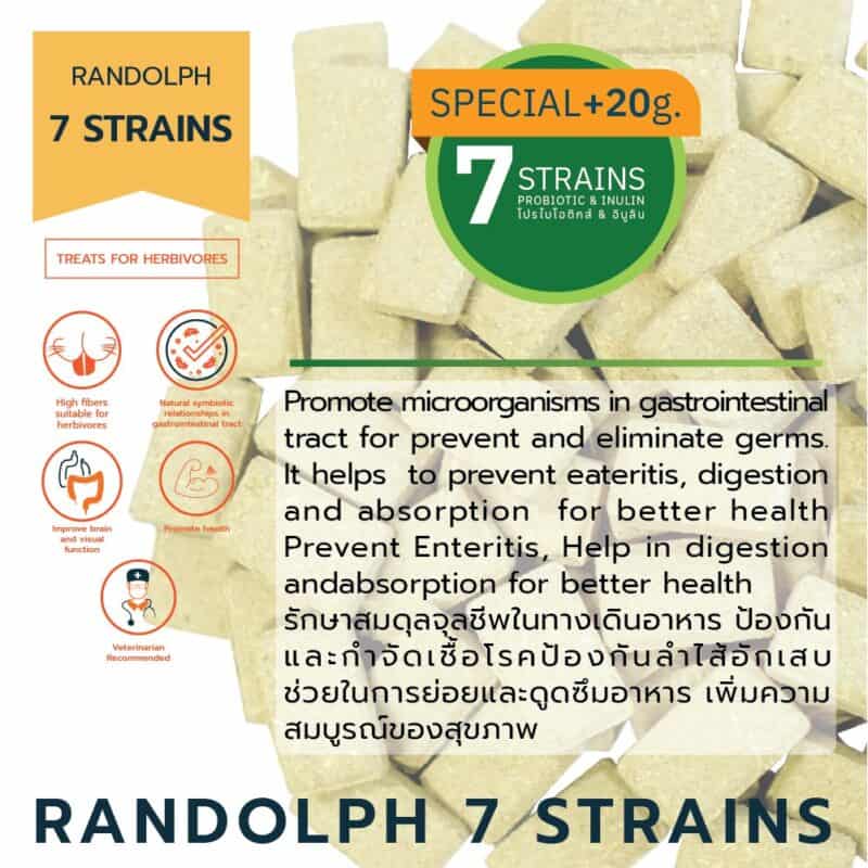 CatHoliday วิตามินเสริม Randolph Supplement อาหารเสริม สำหรับกระต่าย หนู และสัตว์ฟันแทะ - Image 8