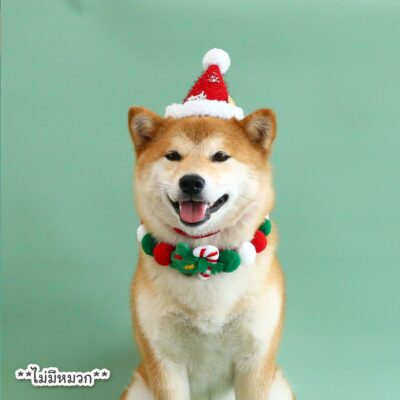 Alternative view of CatHoliday ชุดของขวัญคริสต์มาส ปลอกคอปอมคริสต์มาส แต่งตัวสัตว์เลี้ยง