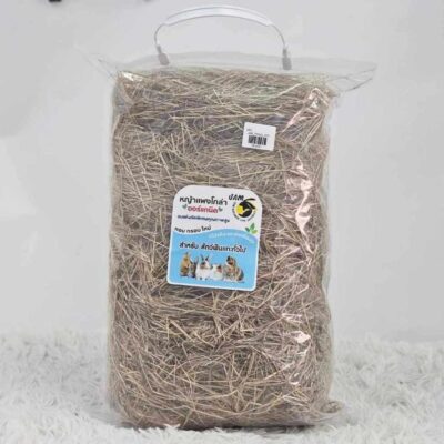 Alternative view of CatHoliday แจ่ม หญ้ากระต่าย อัลฟาฟ่าสับ ทิโมธี แพงโกล่า