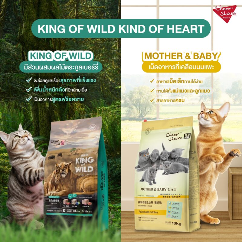 CatHoliday เชียร์แชร์ Cheershare อาหารแมว สูตร Mother & Baby cat ขนาด 10 kg. - Image 9