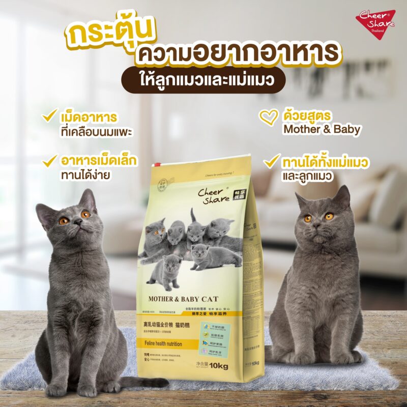 CatHoliday เชียร์แชร์ Cheershare อาหารแมว สูตร Mother & Baby cat ขนาด 10 kg. - Image 6